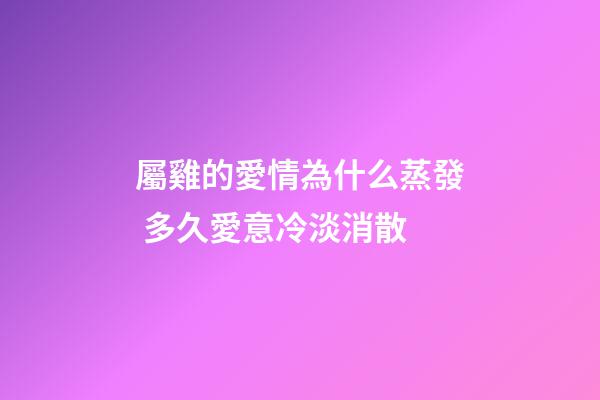 屬雞的愛情為什么蒸發 多久愛意冷淡消散